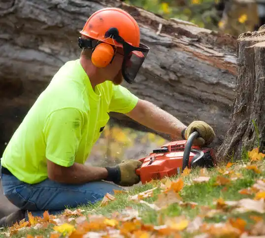 tree services Littleton